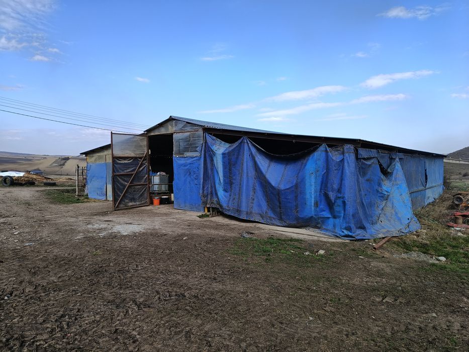 Vând fermă în Frata.
