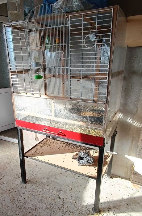 2 perechi papagali Agapornis + colivie mare cu 2 cuiburi