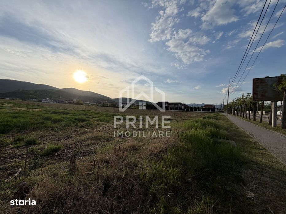 Teren Intravilan | 4088 Mp | Micești | Toate Utilitățile | Oportuni