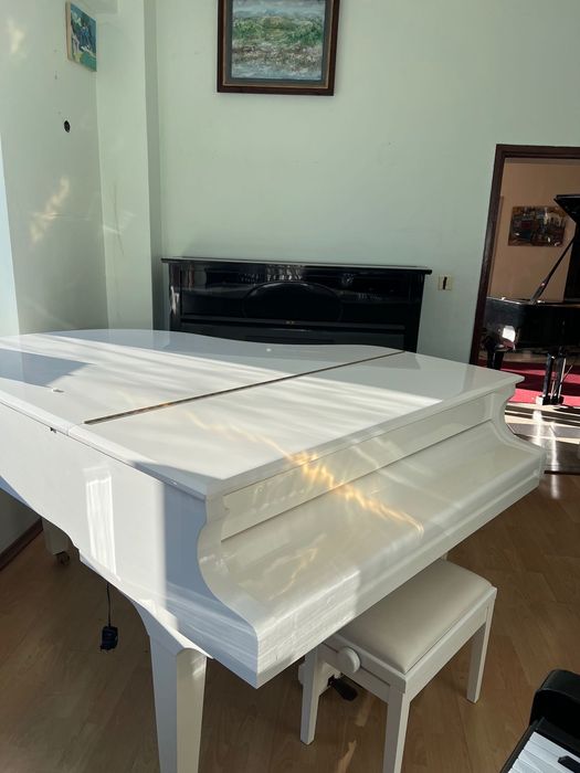 Роял FEURICH 179 – Dynamic II