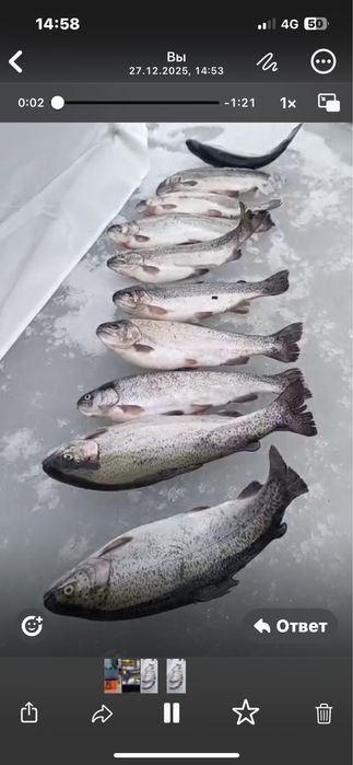 Продам снастель для рыбалки