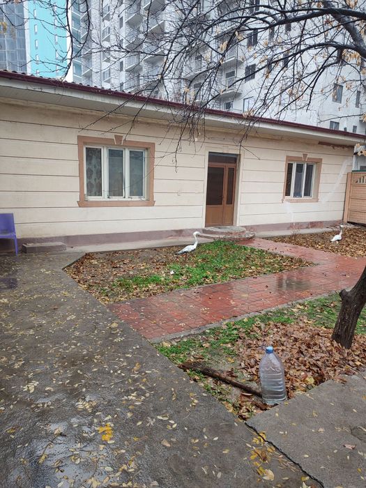 Здаю  дом 3 ком участок лисунова кинатятор