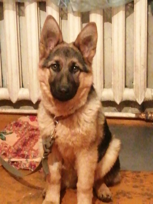 Помогите найти члена семьи!!!