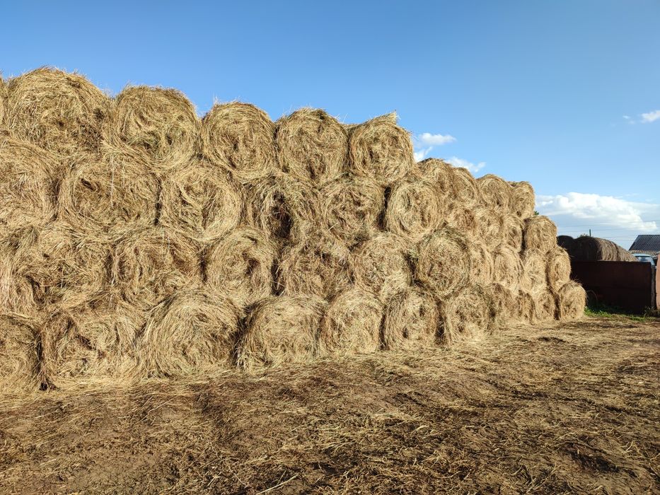 Сено разнотравье в рулонах