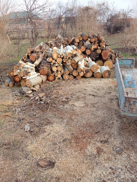 Срочна отинлар сотилади