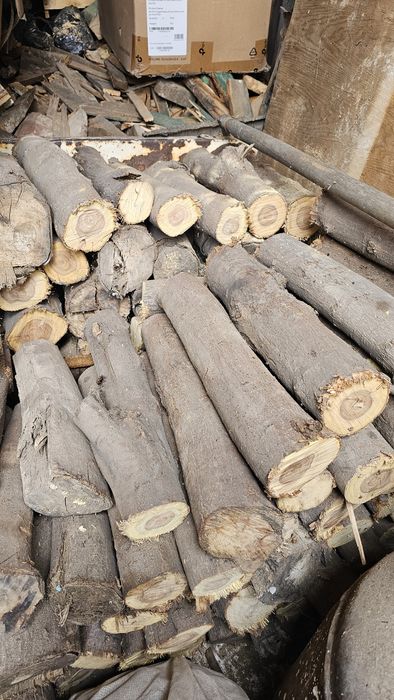 Продам дрова пиленые не колотые