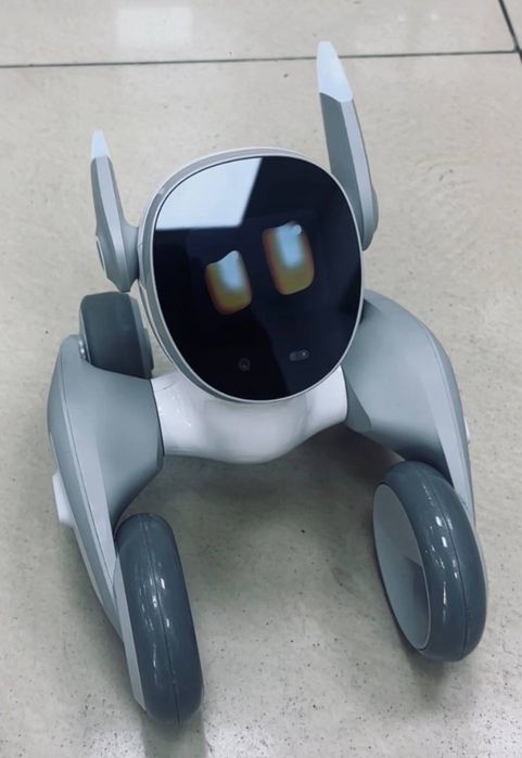 Робот с ИИ the PetBot Loona | BaiTime