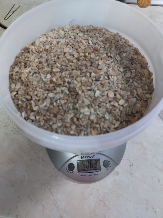 Ракушка для кур кормовая