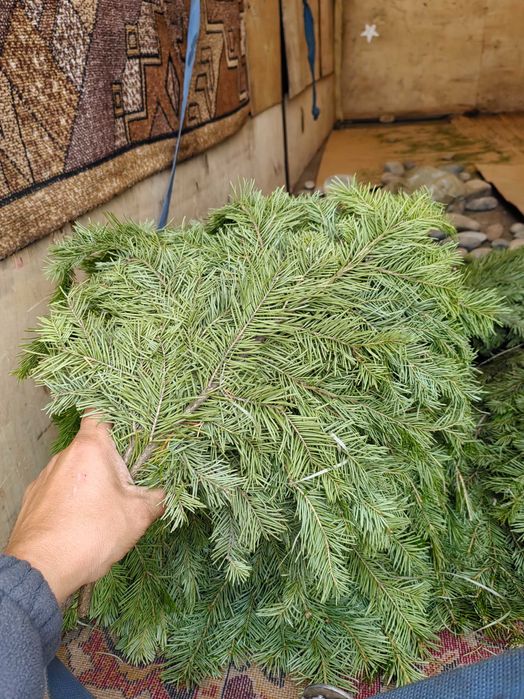 Продам масло.. Пихтовое для бани Сауны