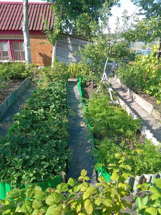 Продам дачу с 1 сентября