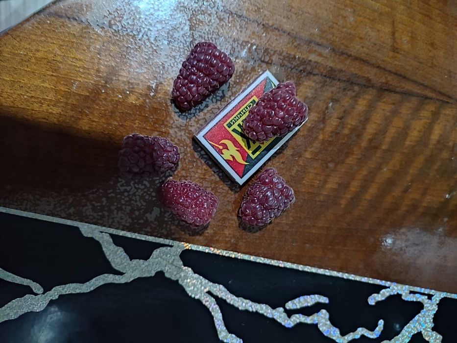 Продам малину сорт МАЛИНОВАЯ ГРЯДА, саженцы