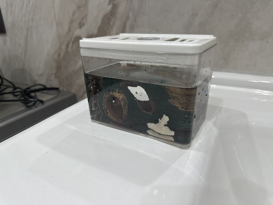 Декоративный аквариум