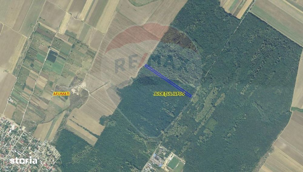 Teren 10,000mp Afumati | Padure | Soseaua Petrachioaia