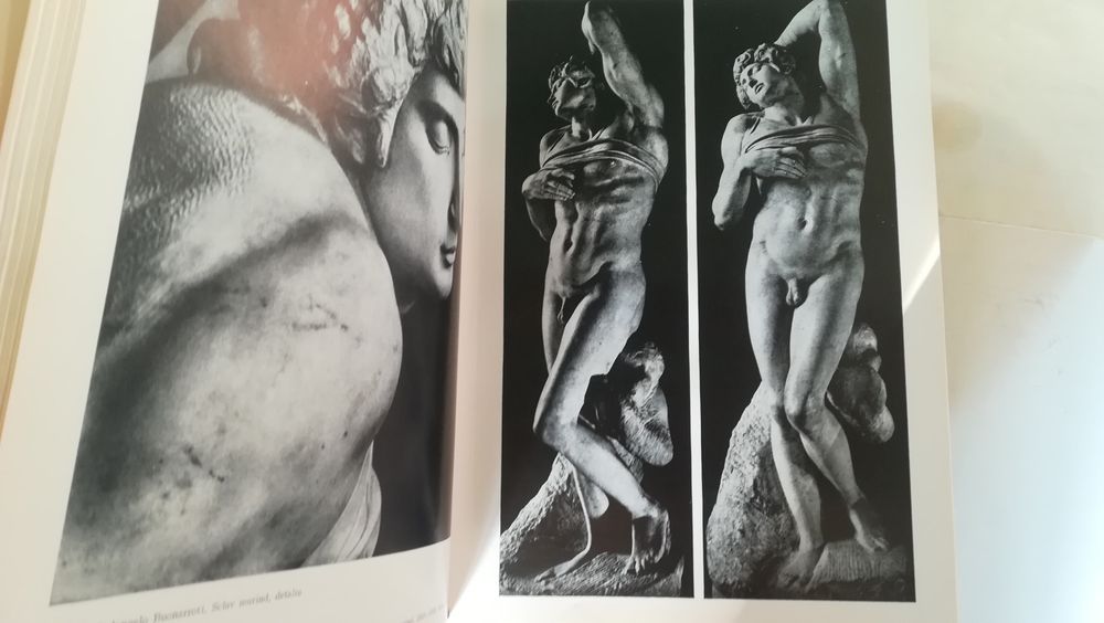 Istoria artei. Mihail Alpatov 1965