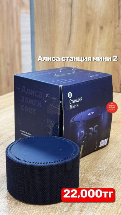Алиса станция мини 2