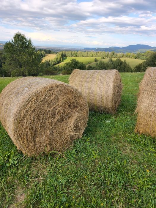 Baloți rotunzi de fân!!