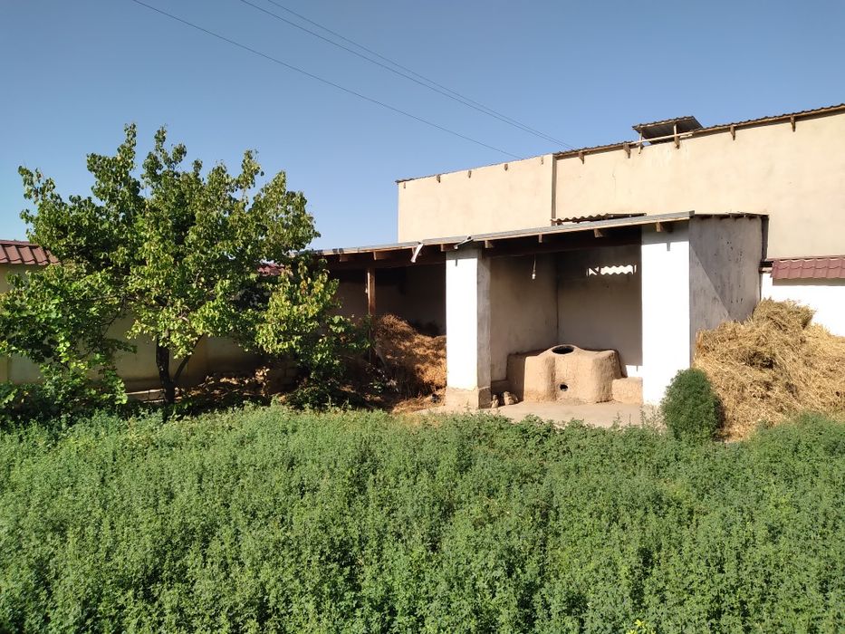 Катеж 6 сотихли срочно сотилади нахтга, кредитга йоки болиб толашга