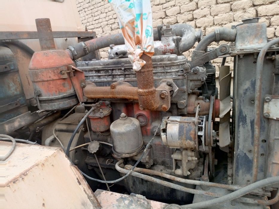 Pagurchik yahsh holata