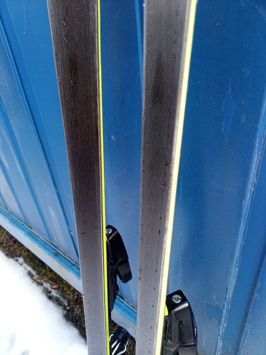 Schiuri head world cup rebels