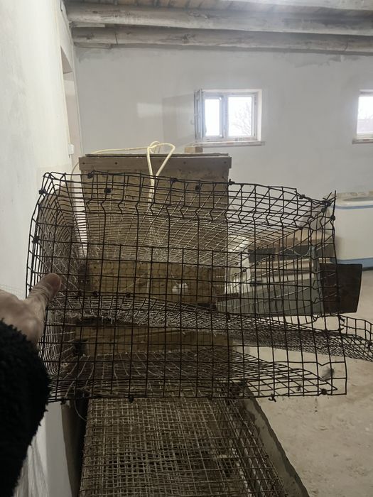 Брудер сатылады сеткалар бар