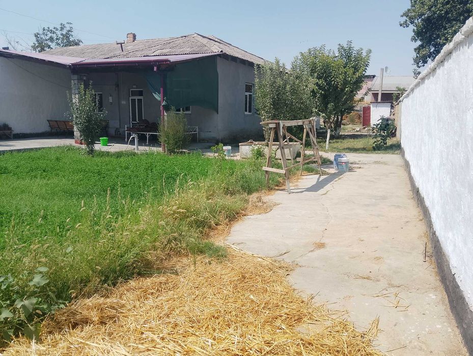 Племсавхозда ховли сотилади