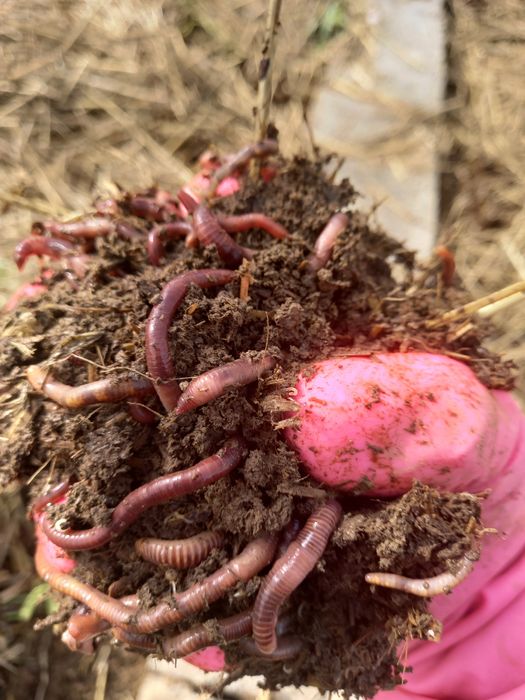 АКЦИЯ: КР: 650000