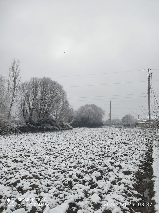Surxondaryo Denovda yer sotiladi kengash masjidi yonida