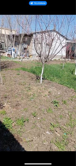 Продаеться двор  на земле