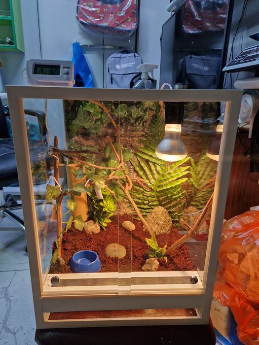 Террариумы для животных