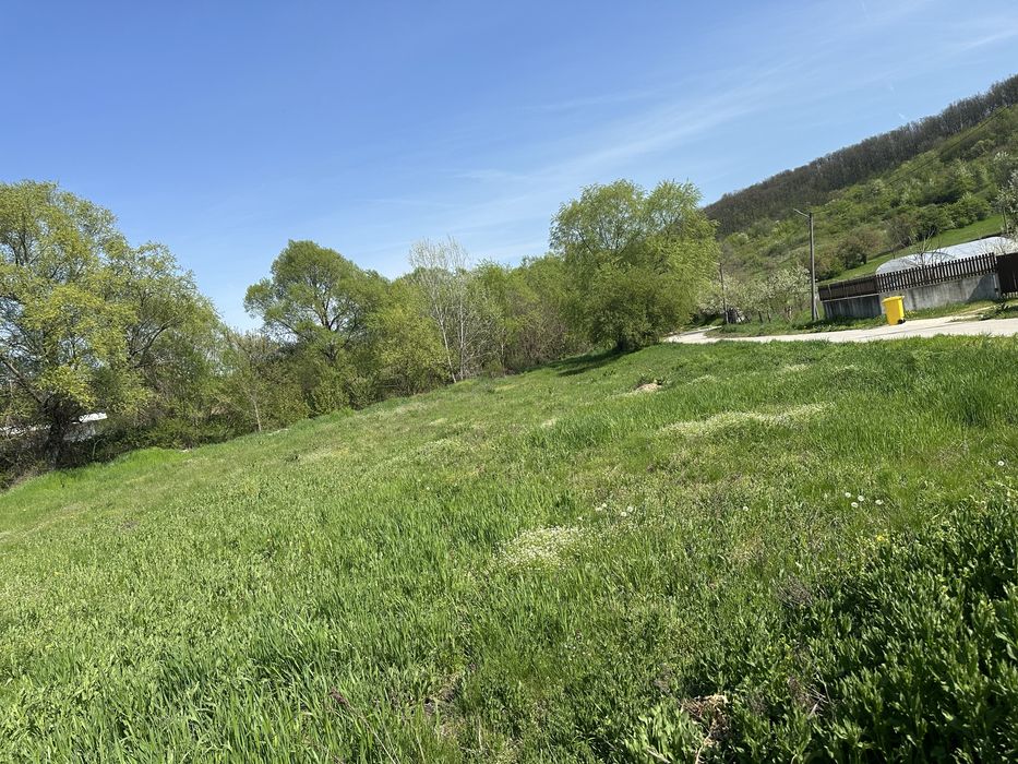 Vand teren Leamna de sus