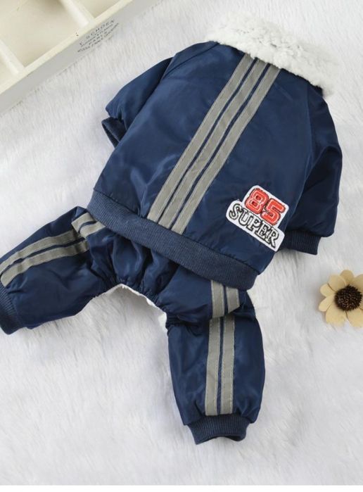 Зимен гащеризон за малка порода куче