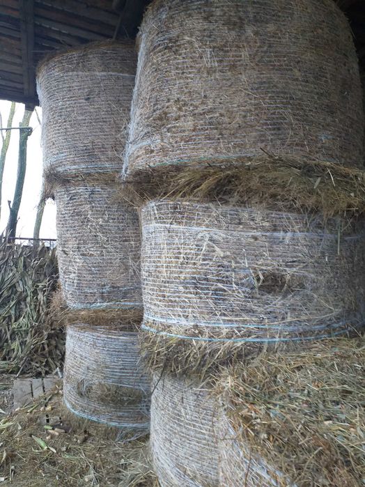 Vind Fin Lucerna si Paie asigur transport cu Tir