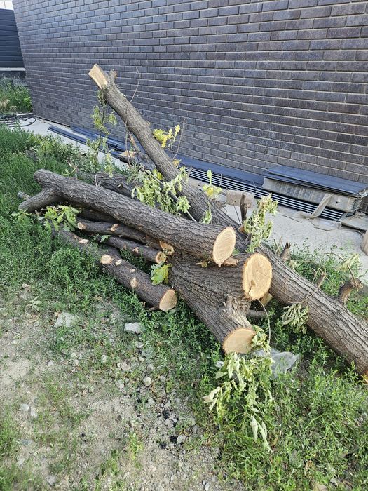 Продам дуб самовывоз