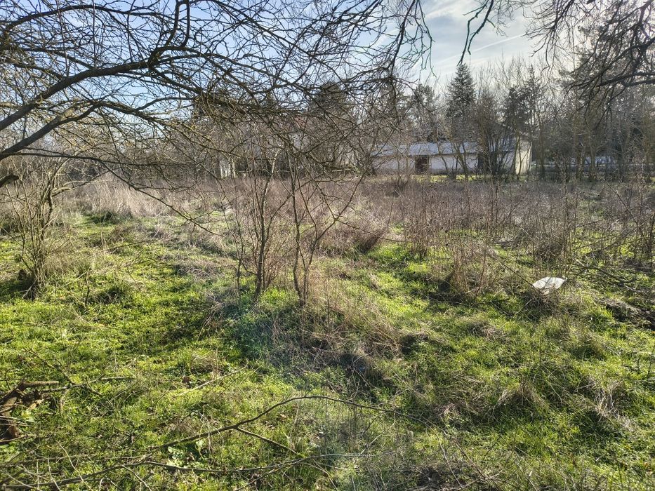 Продава се Къща в с. Добрево, Област Добрич - 60 кв.м за 71 €/кв.м - Снимка #4