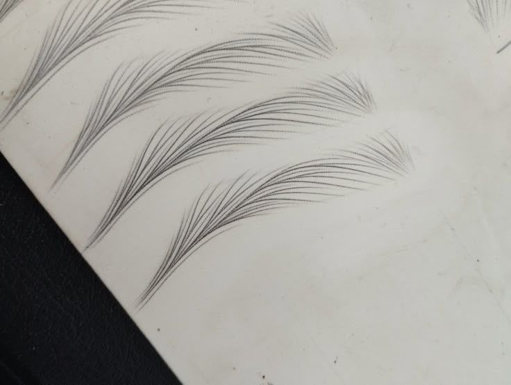 Перманент макияж бровей