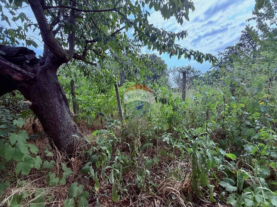 Парцел с къща,ток и вода за продажба, общ.Балчик, Я.И.