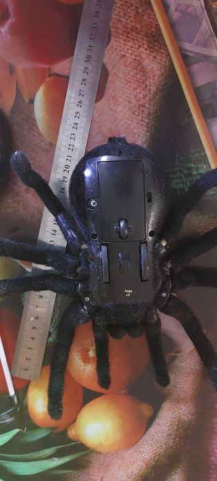 Паук на пульте управления