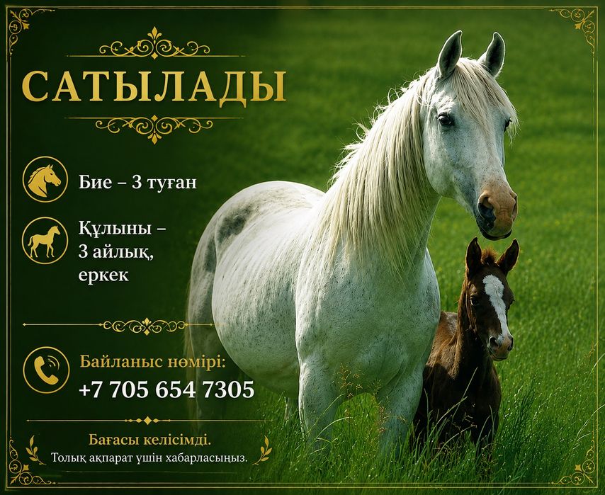Жылқылар сатамын