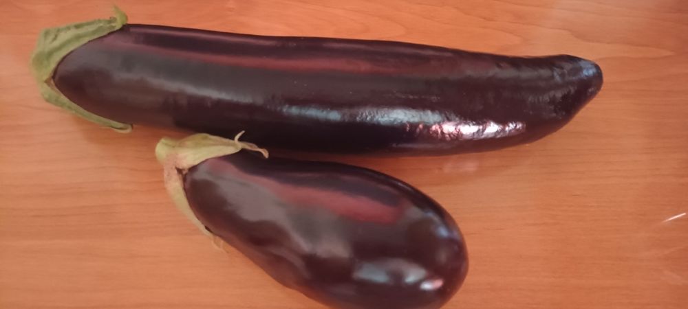 Баклажаны домашние