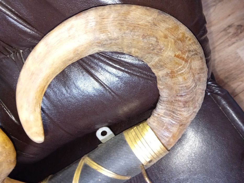 Закачалки  рустик с   рога