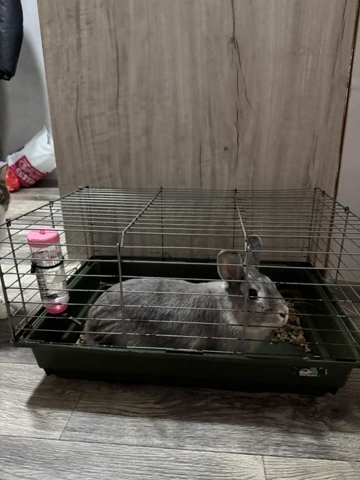 Клетка для грызунов