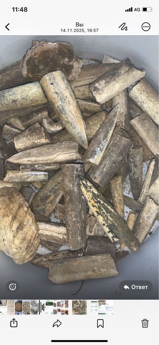 Продам Белемнит ( чертов палец)