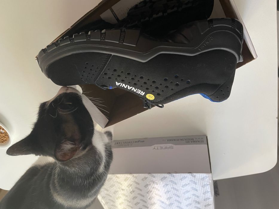 Pantofi lucru Renania 40