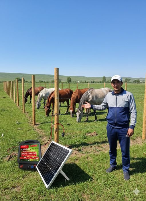 Электропастух ірі және ұсақ малға