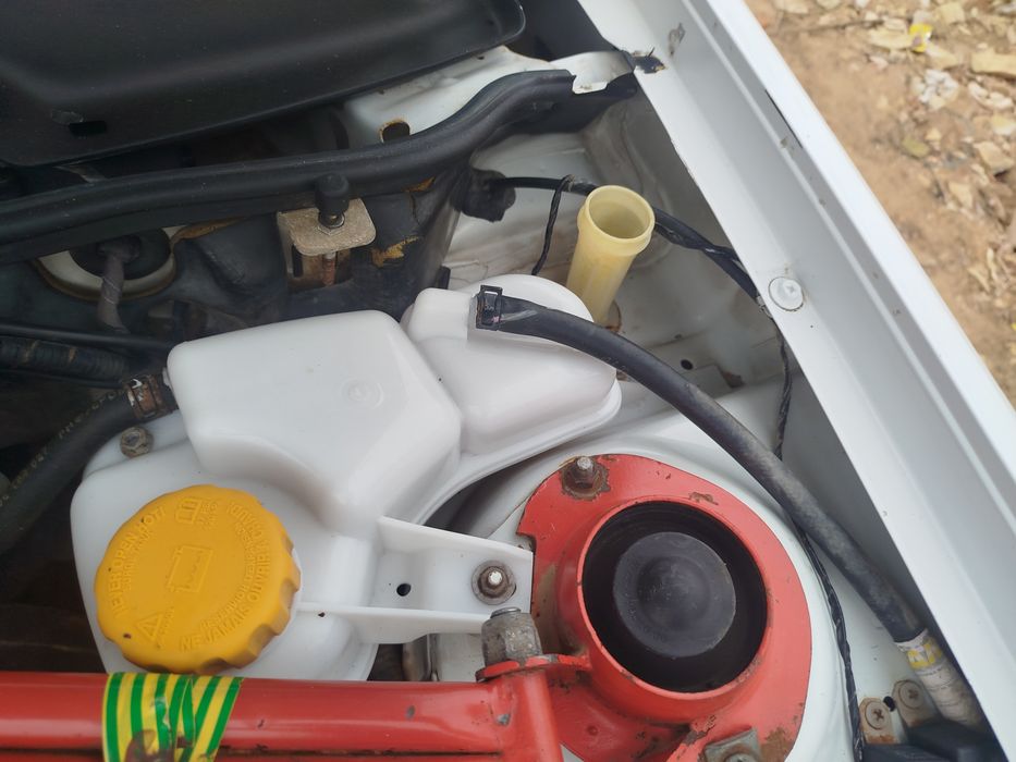 Нексия 1 Донс люкс кандиор