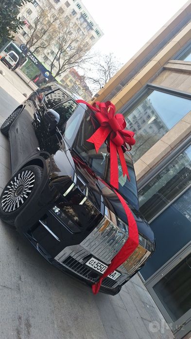 Авто бант подарочный бантик на машину BVD