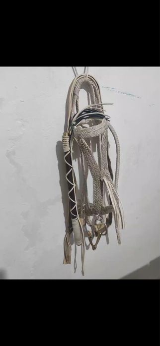 Қайыс жүген, қамшы (уздечка)