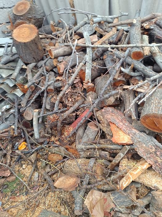 otin otin sotiladi mevali