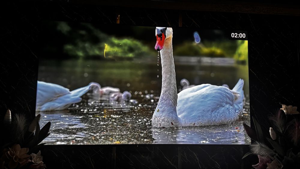 телевизор сони 215 см