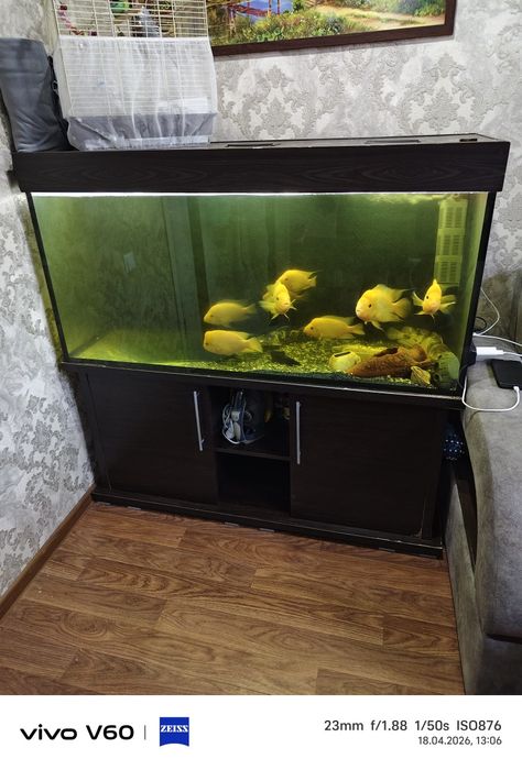 Продам аквариум с рыбками